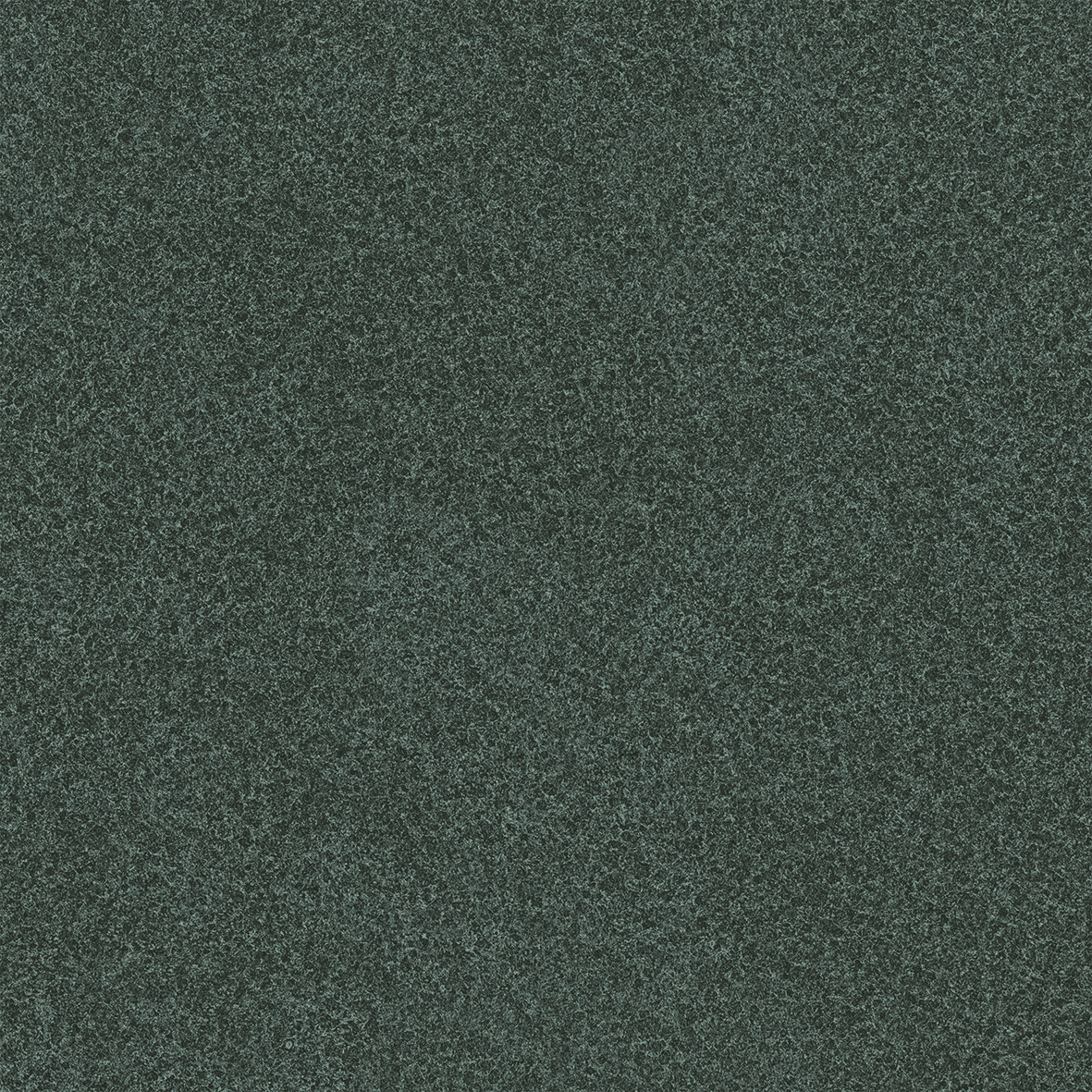 PE 6449M.jpg